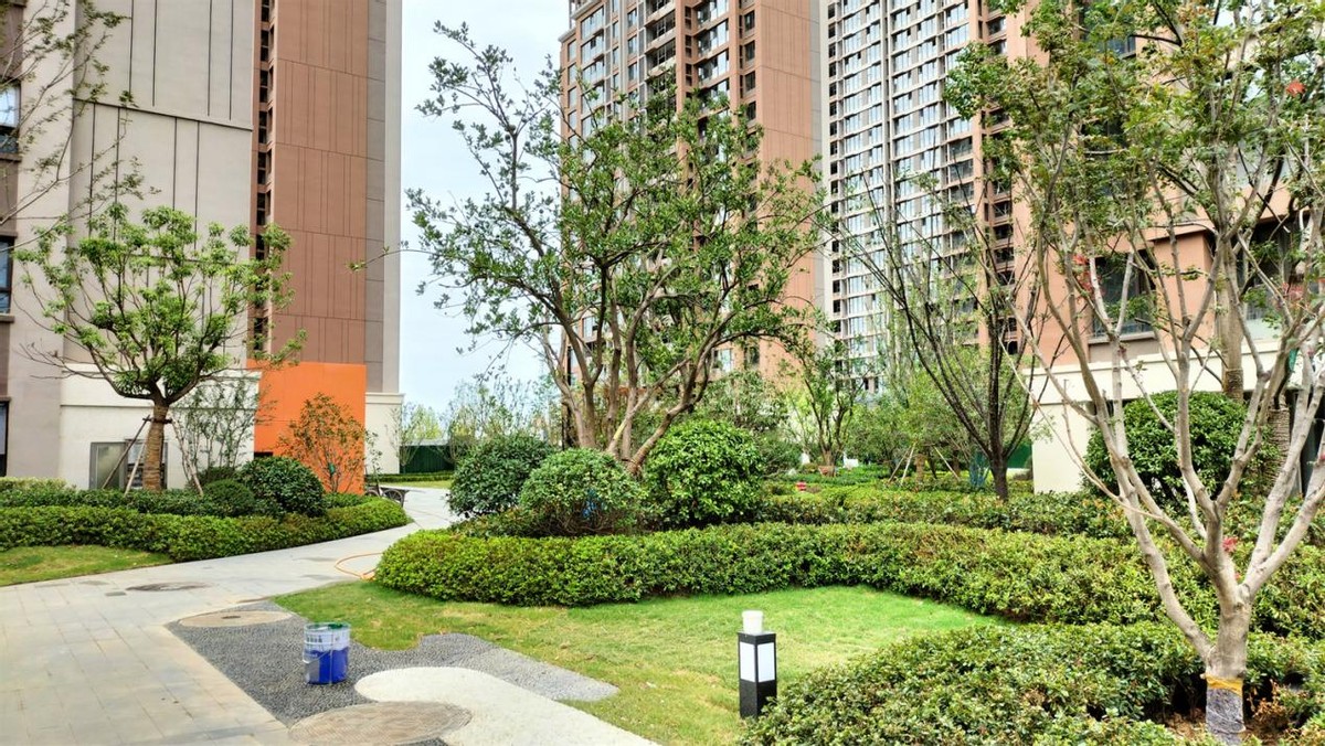 乐富强文宸悦府最近情况,乐富强文宸悦府是小庙吗