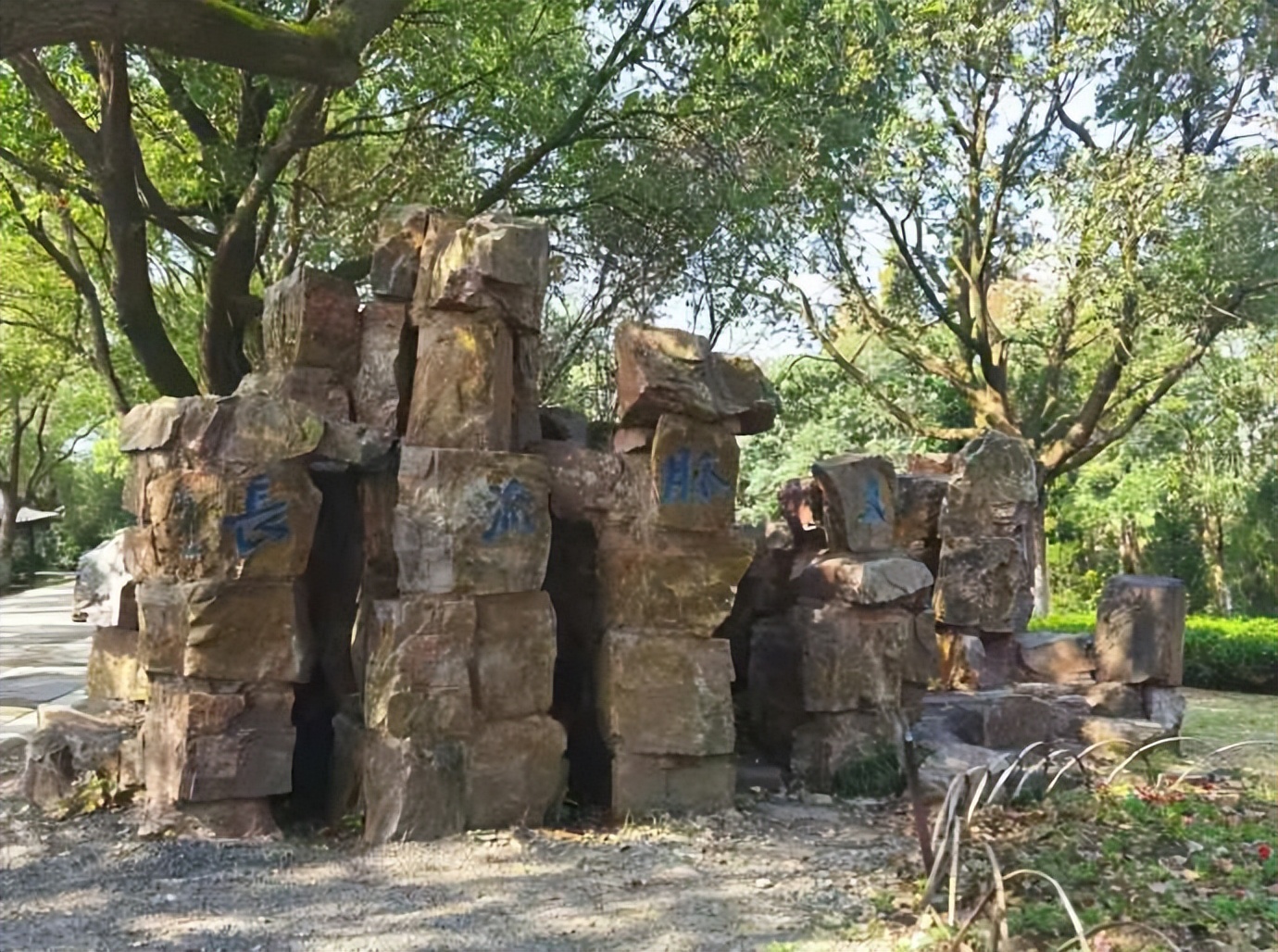 京剧沙家浜经典唱段芦荡火种,在芦荡深处寻找不一样沙家浜