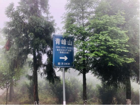 北碚三圣龙王村,重庆北碚山水龙王村