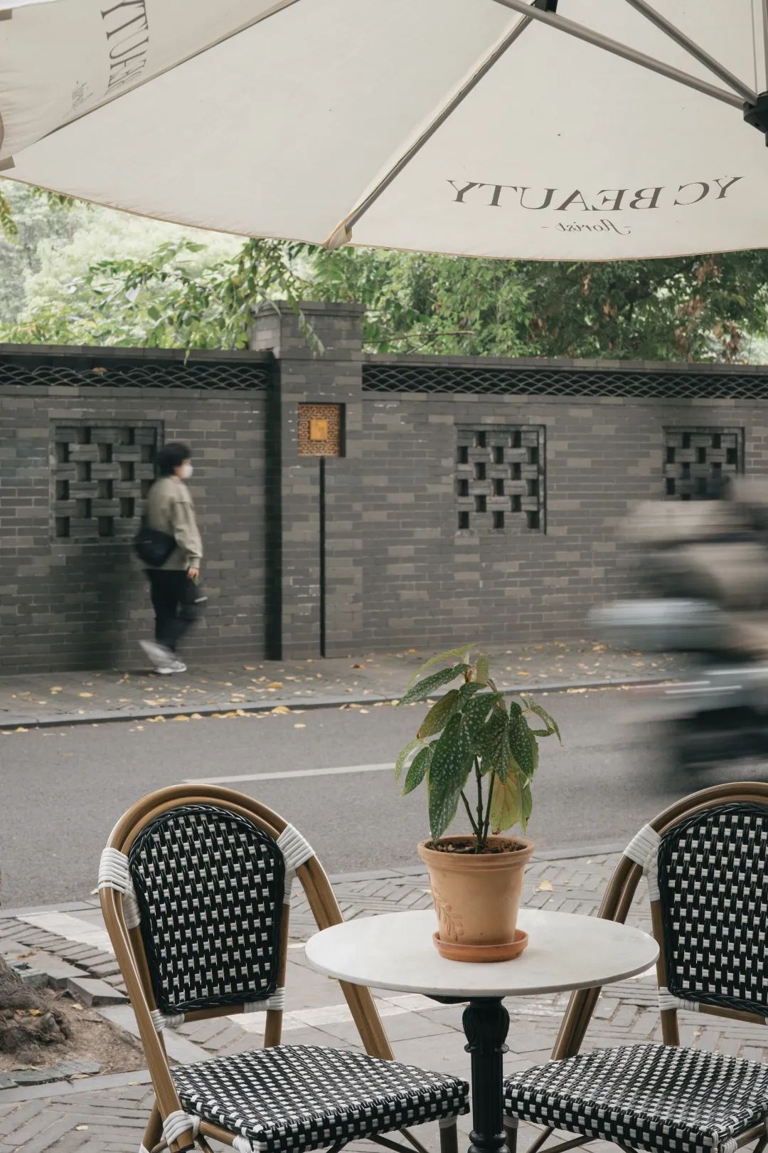 “野生”风格受欢迎——成都30平方米小花店，一年收入250万元