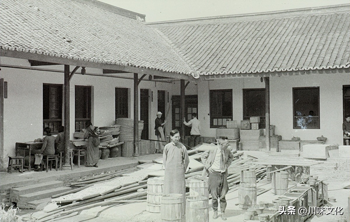 川猪变种记（中）转折