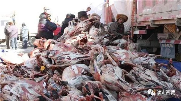 西藏那曲畜产品展销 (西藏那曲畜产品展销场航拍)