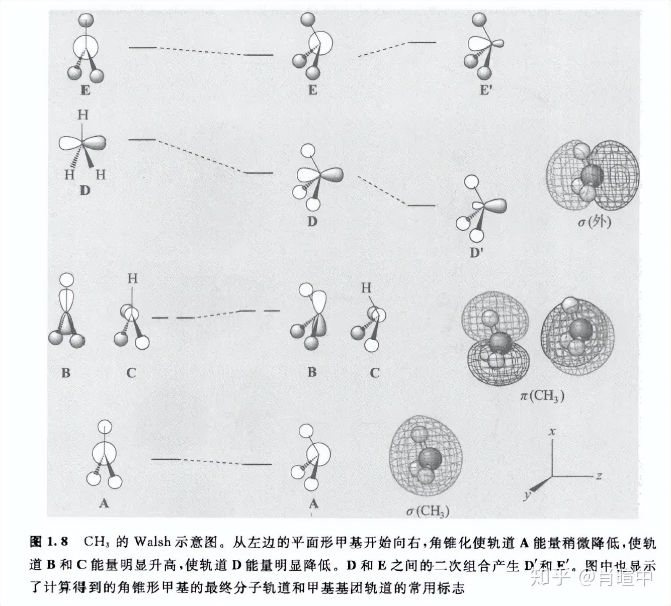 基础有机化学第10章,有机化学第十章知识梳理图