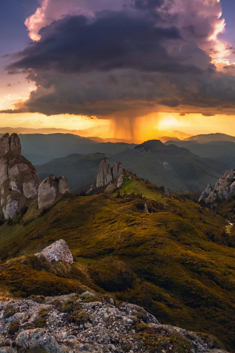 真实大象的照片,在野外拍到的真实大象