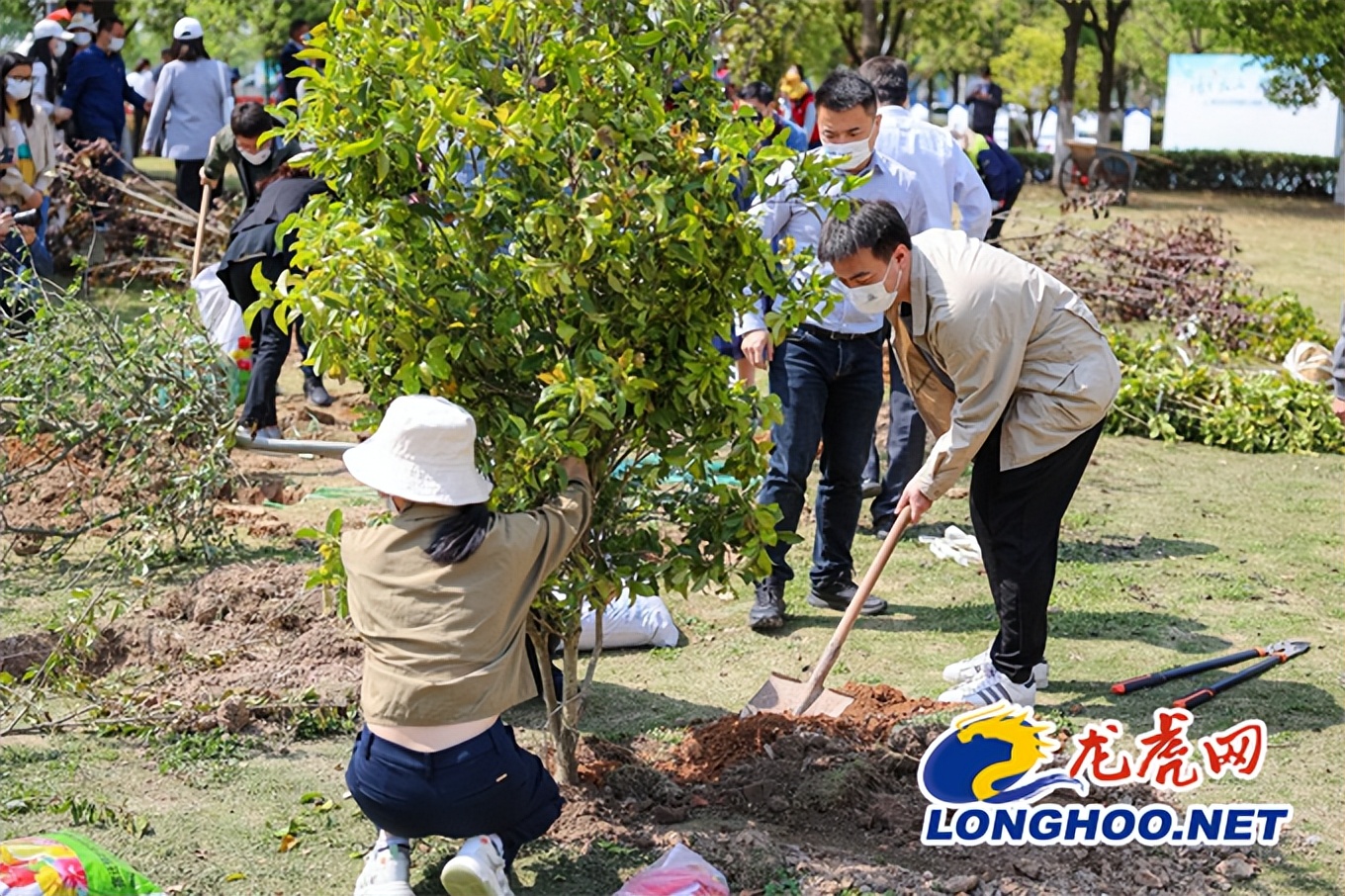 保护江豚留住长江的微笑天使,留住长江的微笑保护江豚