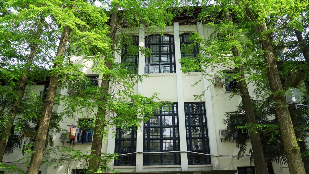 同济大学有多漂亮,同济大学的浪漫