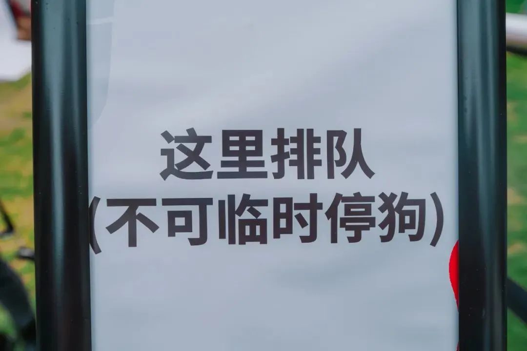 市区100平米宠物游乐园,宠物游乐场室内