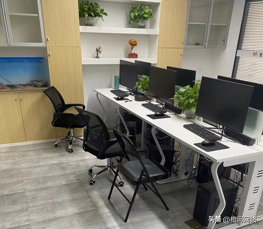 橙河：海外问卷调查项目可靠吗？（科普篇）