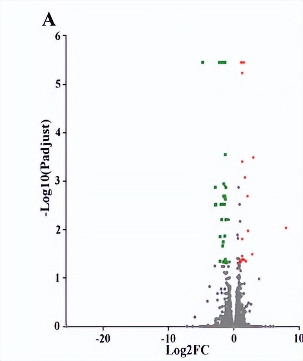 浣庨挋楗叉枡,浣庨挋鏃ョ伯