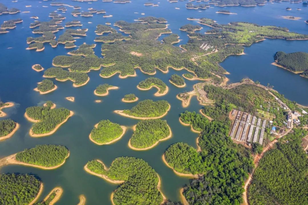 盘点影视的名场面瞬间,都市名场面