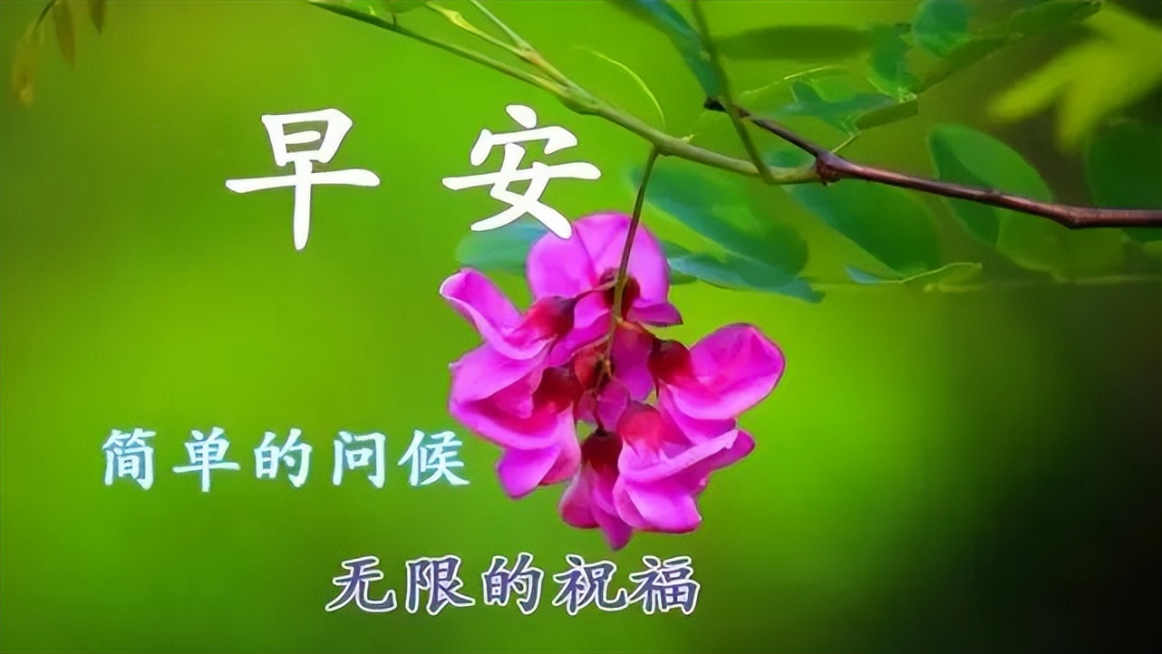 朋友关心问候语暖心感动的句子,问候祝福朋友开心快乐的温馨句子