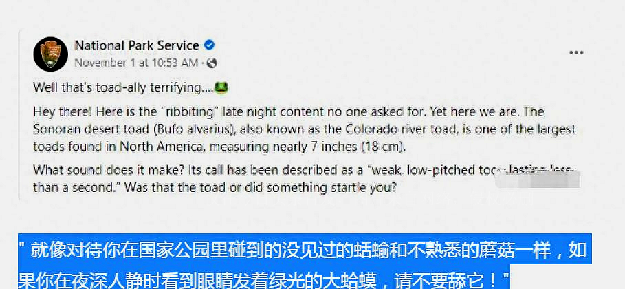 癞蛤蟆会让人上瘾吗,癞蛤蟆的毒有多可怕