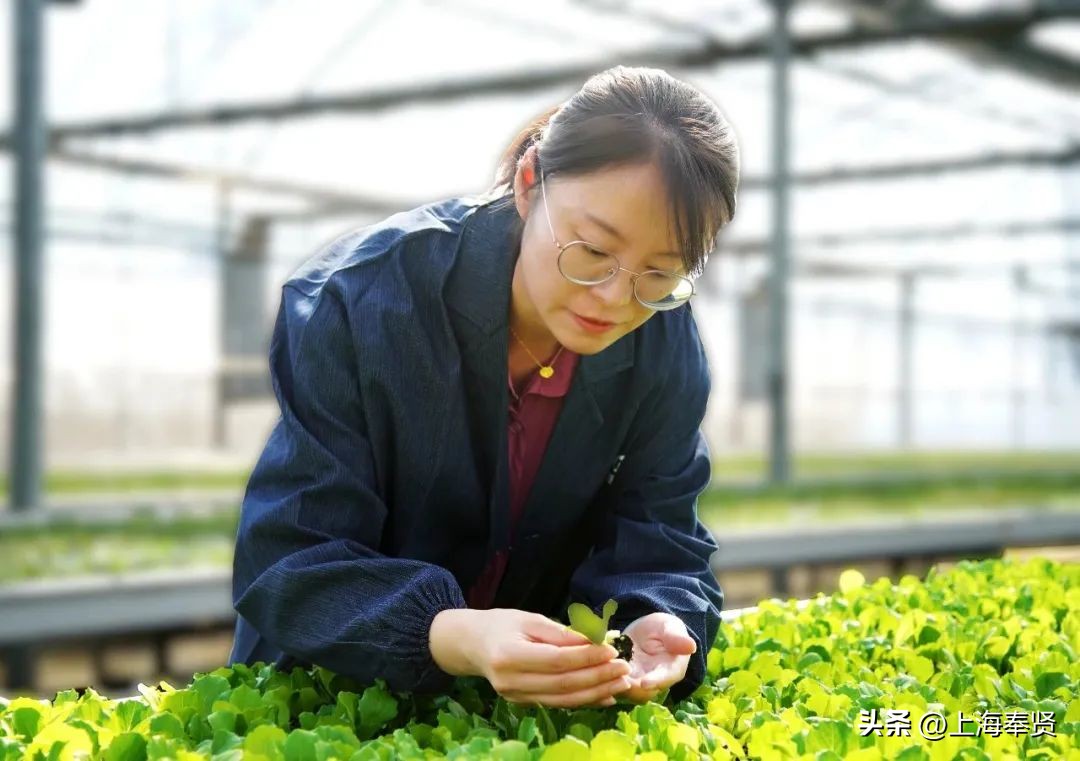 閫夋嫨濂夎搐閫夋嫨鏈潵,閫夋嫨濂夎搐