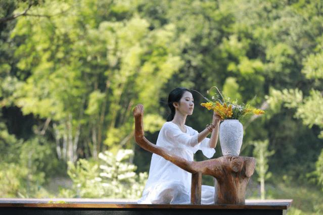 广州花都梯田油菜花,广州徒步赏油菜花路线