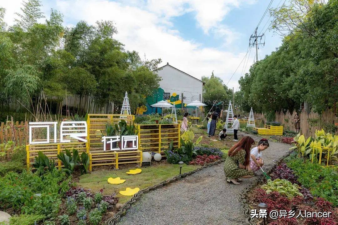 家庭农场：是否能成为乡村致富的新风口？