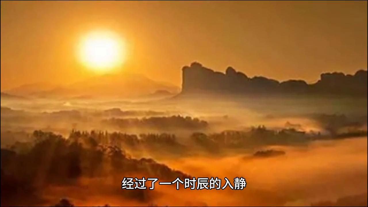 禅悟人生小和尚图片,禅悟人生视频