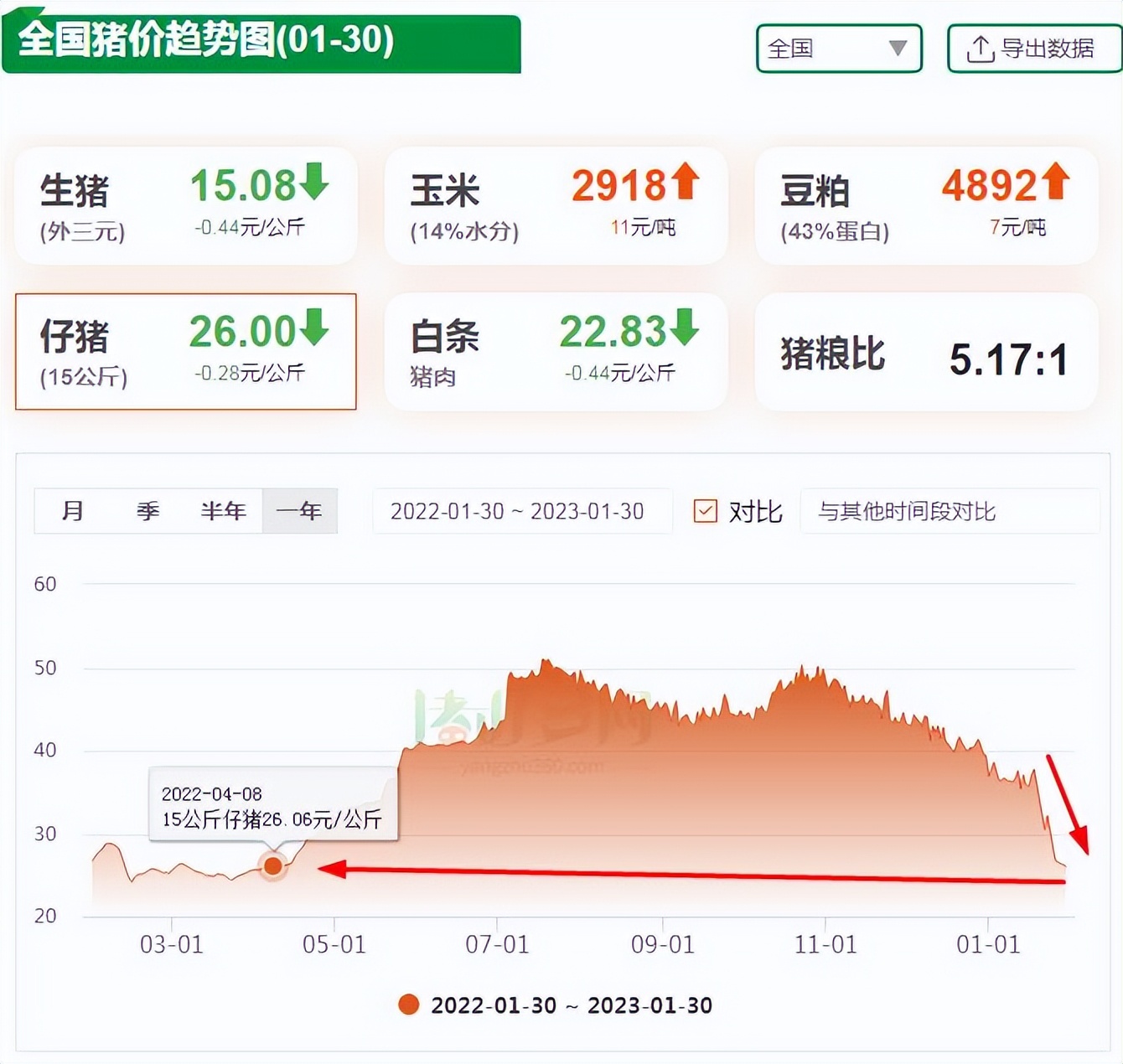 “大降”31.14%！仔猪价格跌回“磨底”线，现在补栏一定会亏吗？
