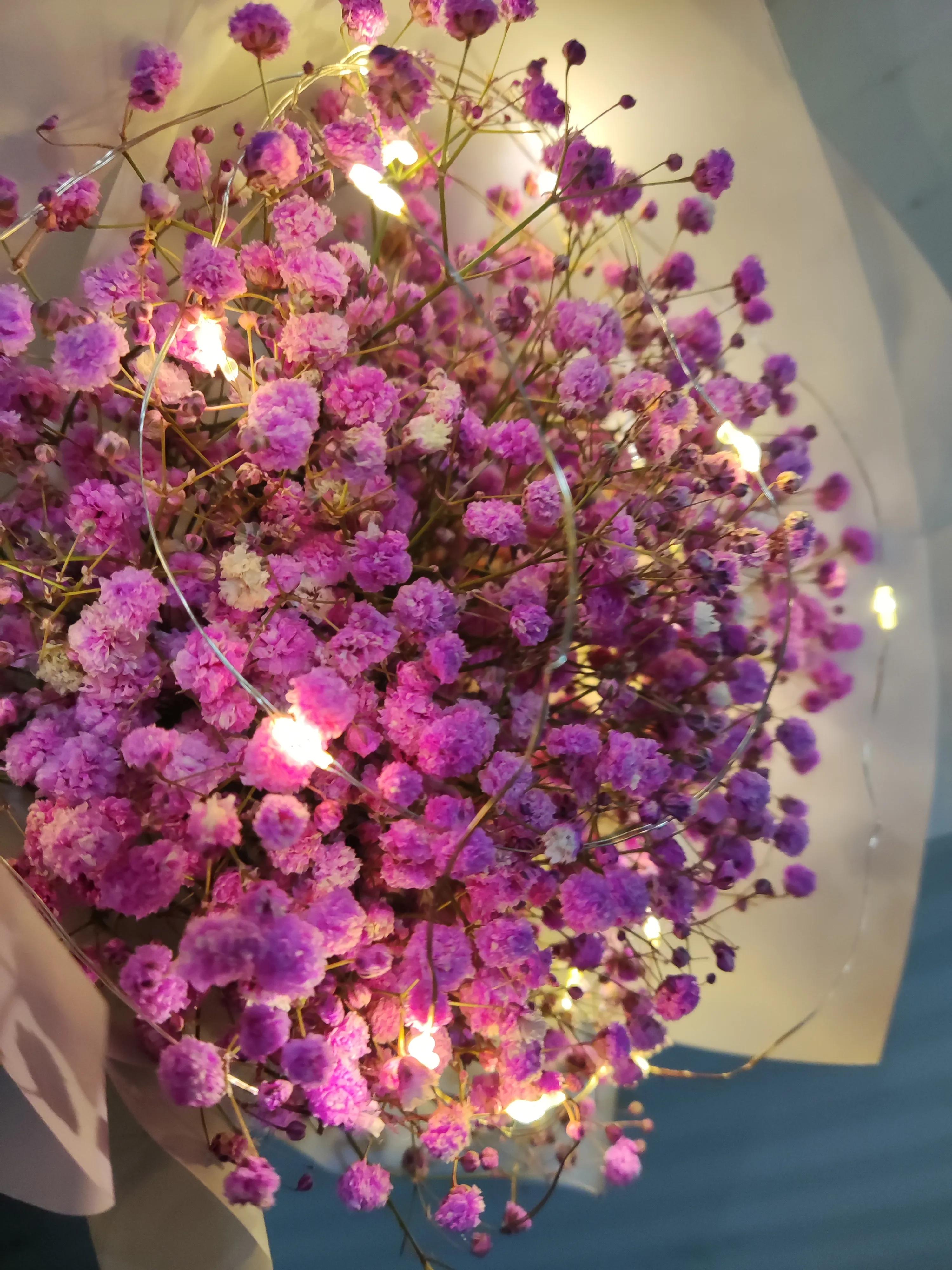 总有一条适合你的文案带英文,总有一条文案入你心