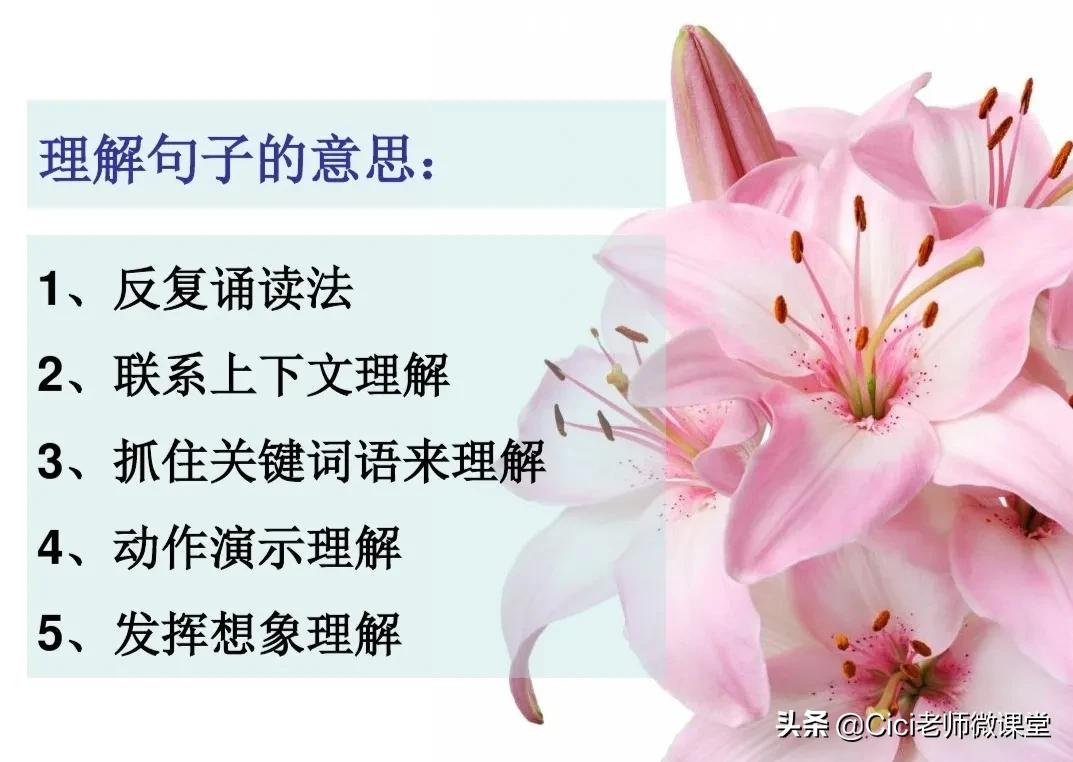 部编版三年级上册语文教学感想,部编三年级语文阅读理解题