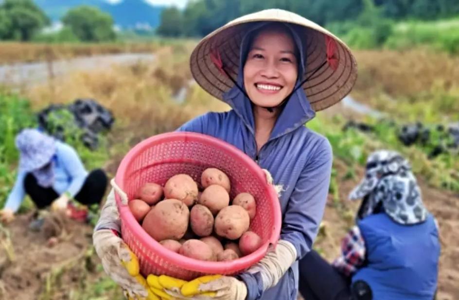 越南女离异后再婚,越南女离婚多次再嫁