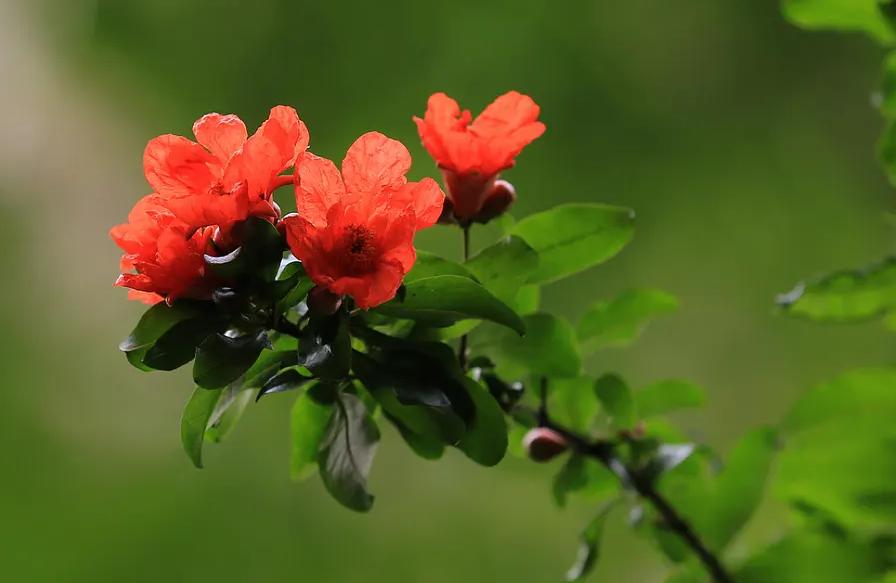 描写春末初夏的古诗词,初夏风光的诗句有哪些