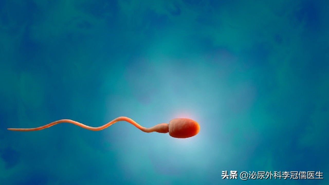 几亿个精子只有一个存活,成千上万精子