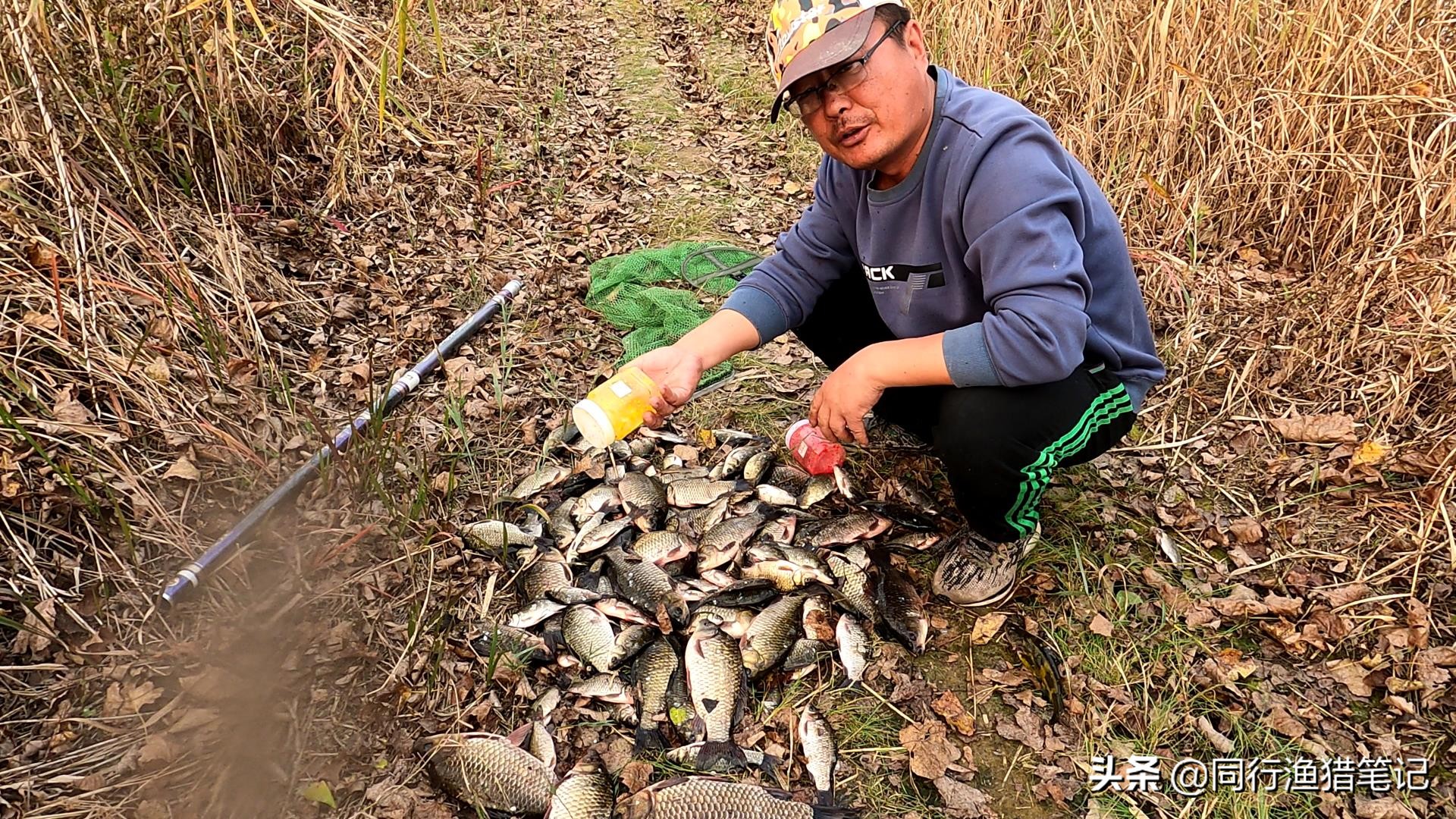 如何打隔夜窝钓鲫鱼,怎么打隔夜窝钓鲤鱼