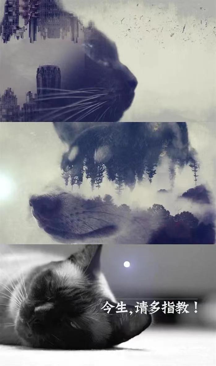 适合2-6岁儿童观看的纪录片,海洋纪录片免费观看儿童