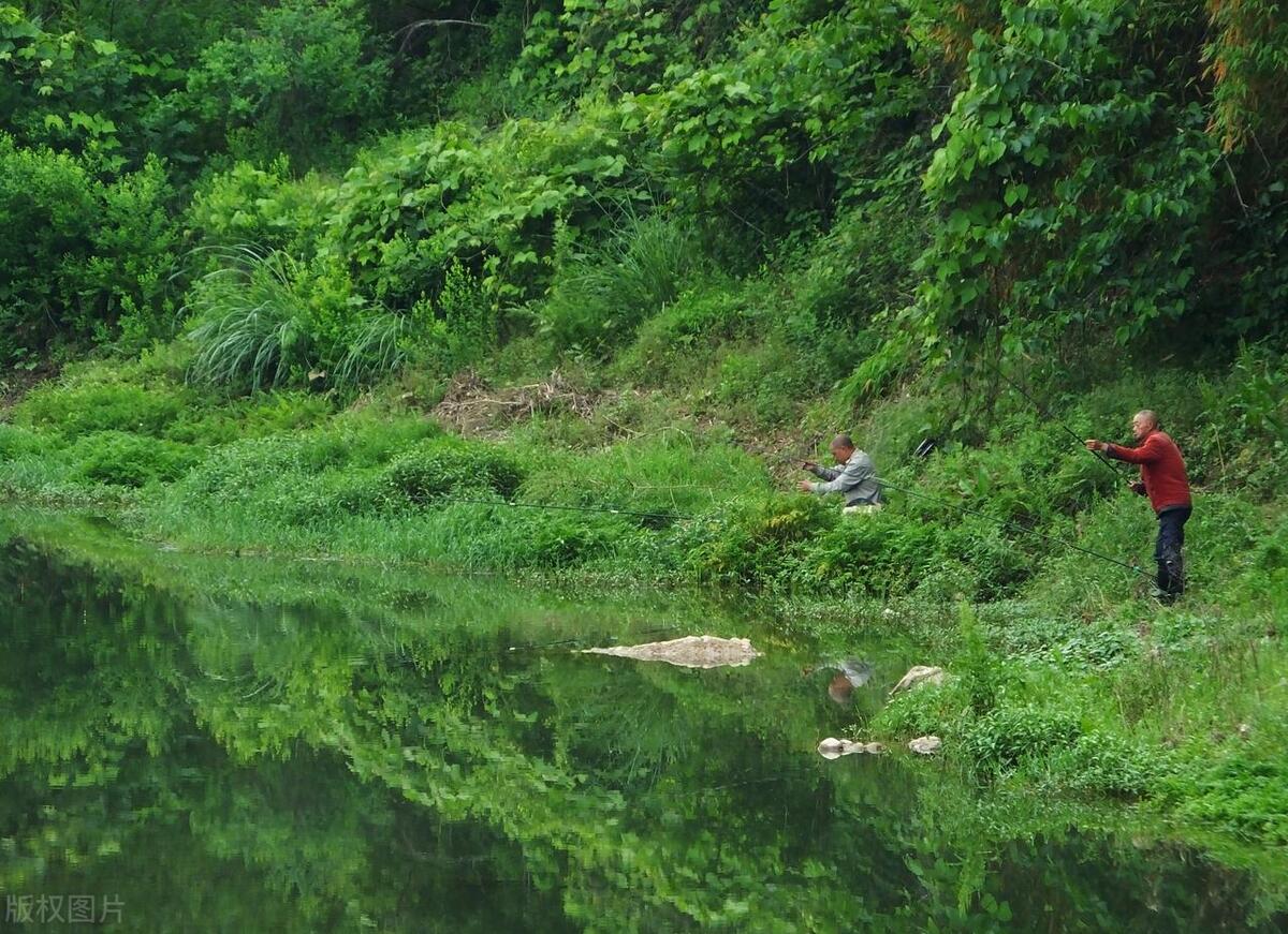 春季钓鱼不开口怎么办视频,春钓不开口怎么办