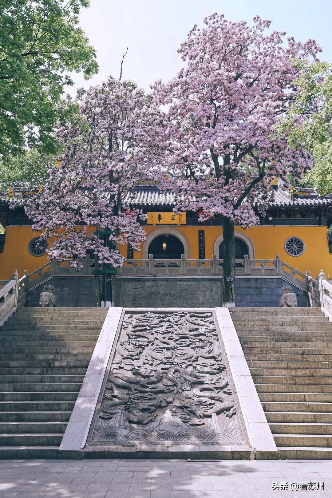 树碑立传2019,树碑立传出处