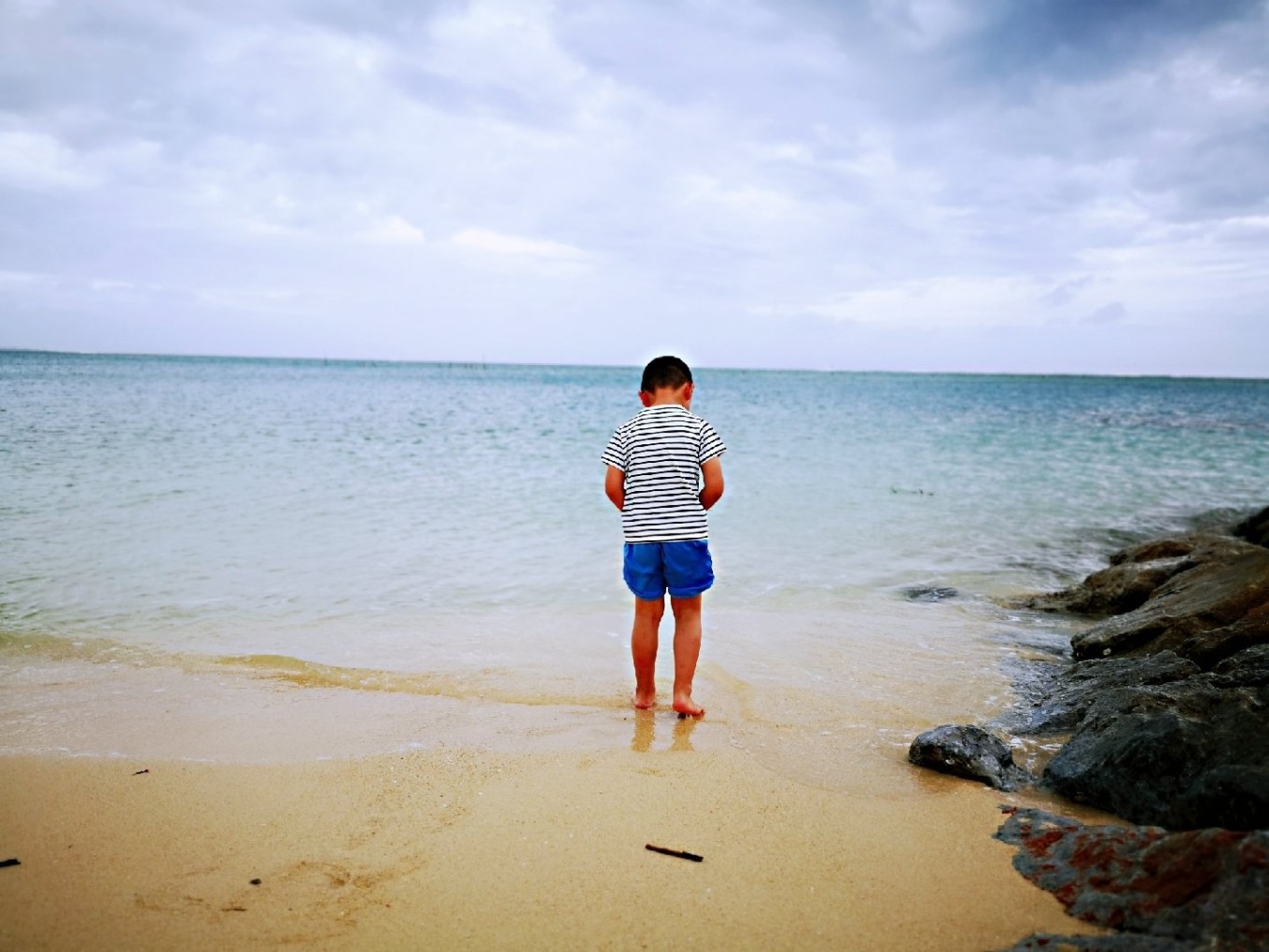 暑期档2019年,2019年暑期档