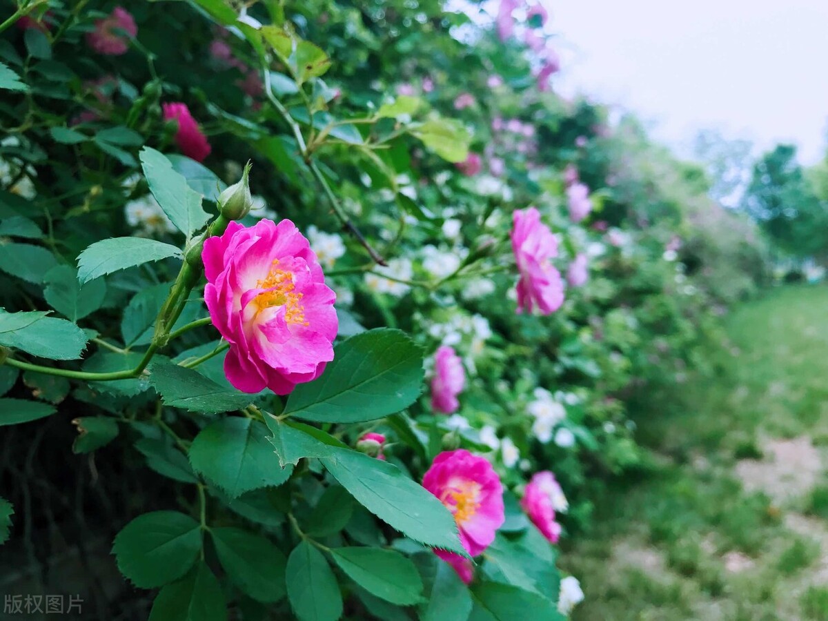 真正高情商的人往往看什么,一个真正的高情商者的十大特征