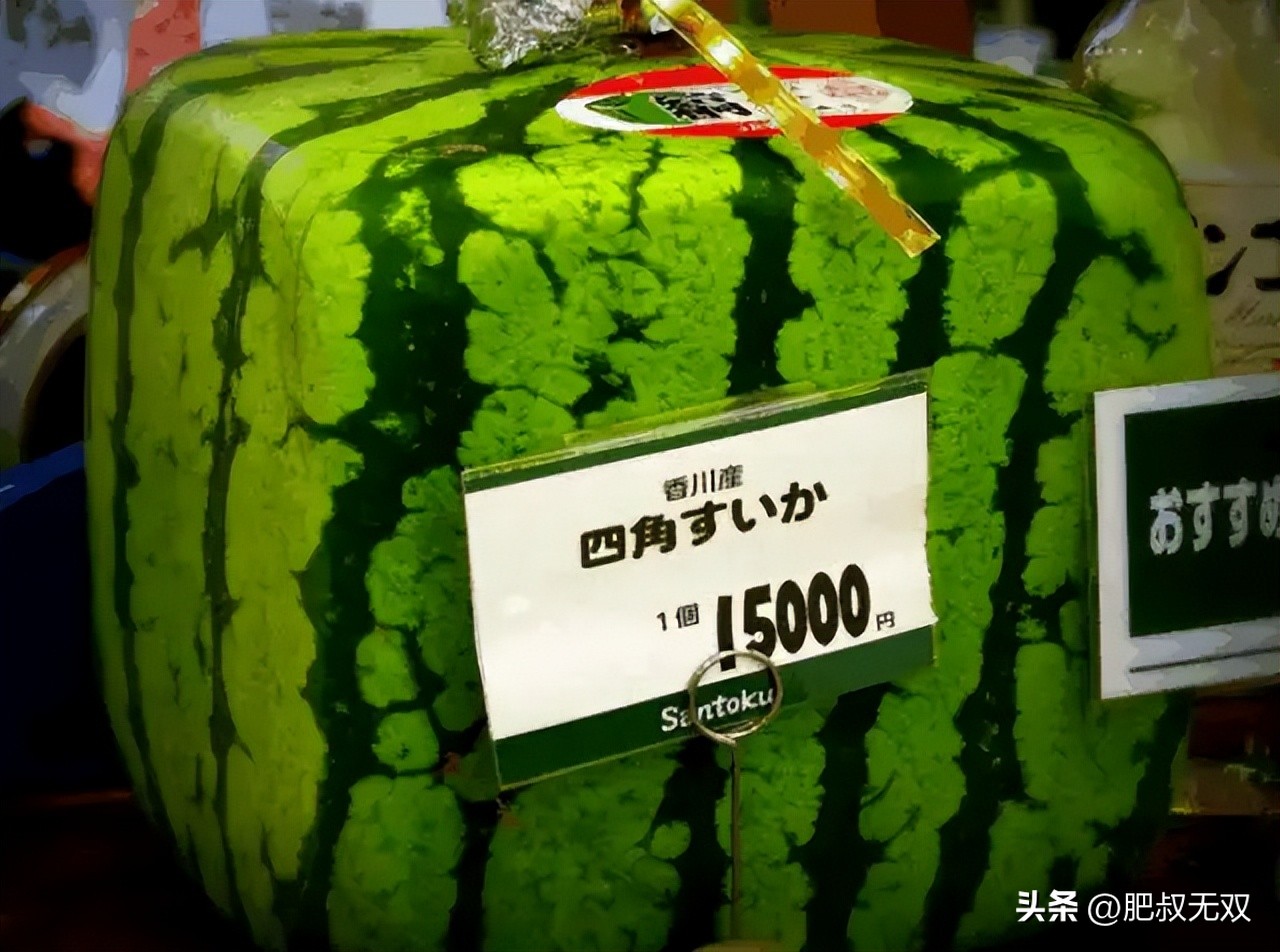 韩国人吃不起肉，日本人吃不起西瓜，大陆人吃不起茶叶蛋？