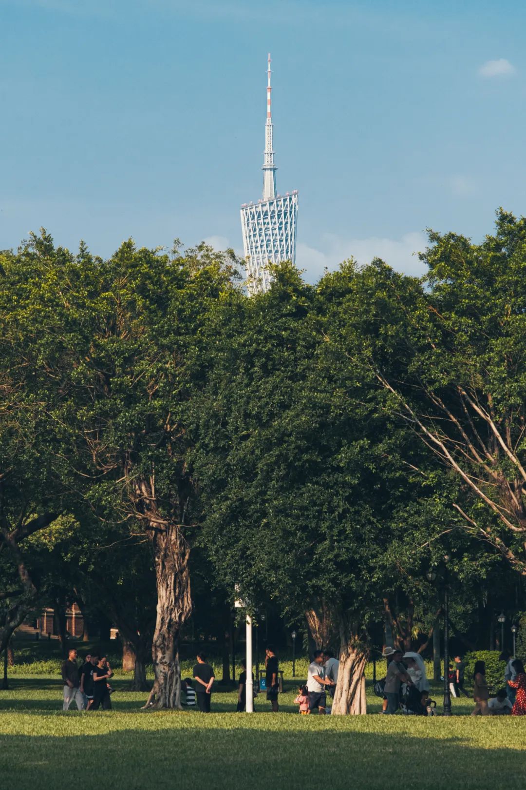 华南第一学府：中山大学,华南最高学府