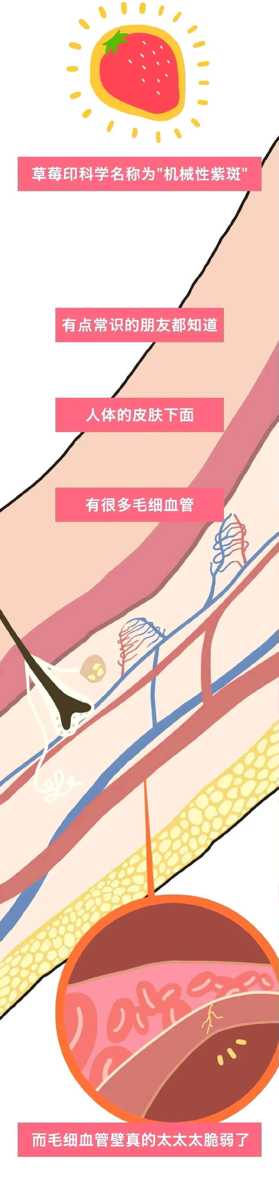 为什么男生喜欢在女生脖子上种草莓？