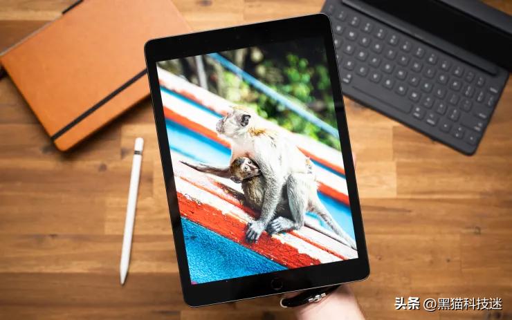 劝你别着急买平板，两款新iPad定在10月发布，库克这次不再挤牙膏