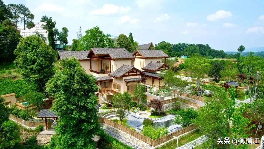 成都市全面推进乡村振兴意见建议,蒲江县乡村振兴