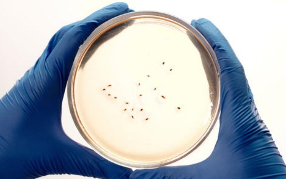 人体润滑剂，对男性伤害大还是女性？能长期用吗？为了健康早了解