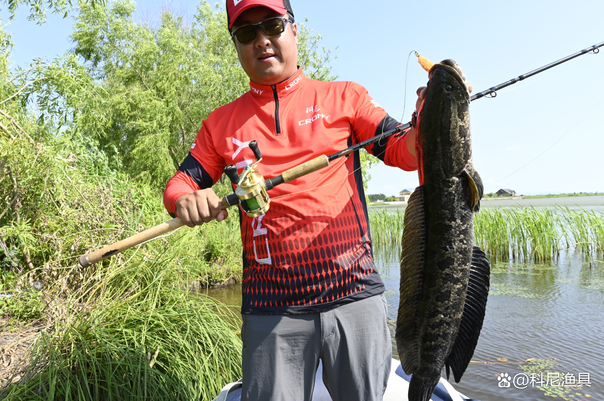 立夏后路亚鲈鱼,夏季路亚雷强时间段