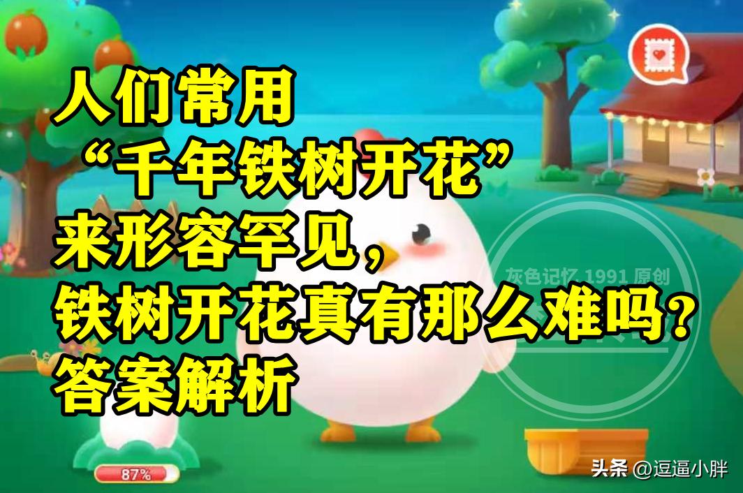 为什么说铁树开花千年难遇,怎么形容铁树开花