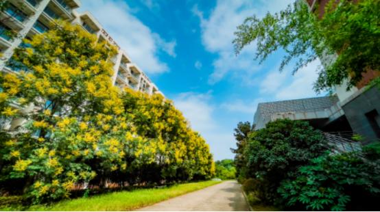 南京财大王牌专业排名,财大南校有啥专业