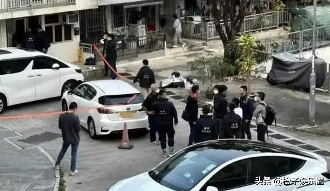 香港名媛被分尸后续,香港名媛分尸案