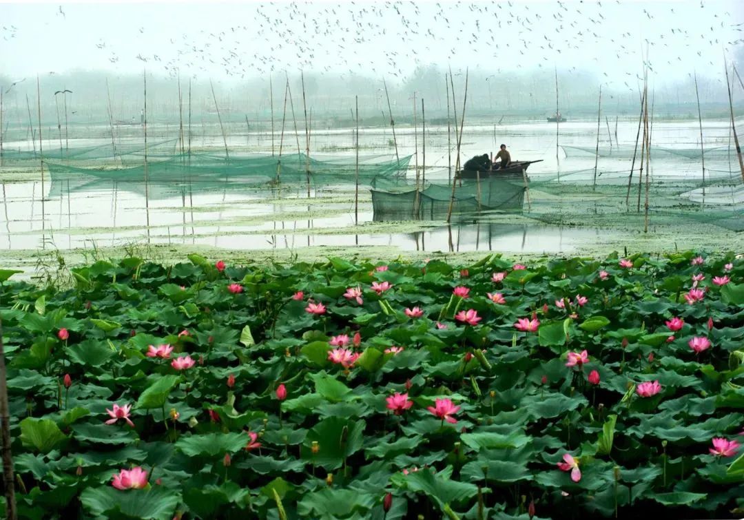 微山湖旅游攻略秋季,冬季微山湖旅游景区攻略