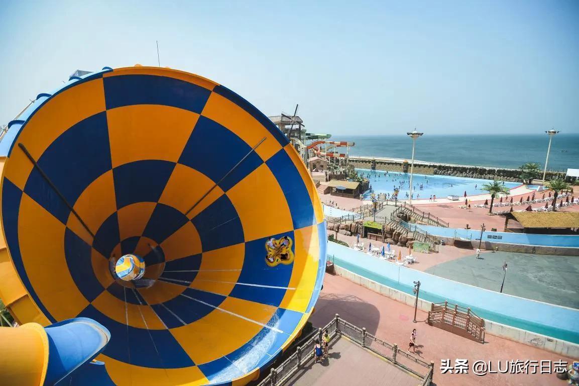 夏至|蝉鸣惊半夏，乐园极地纳清凉