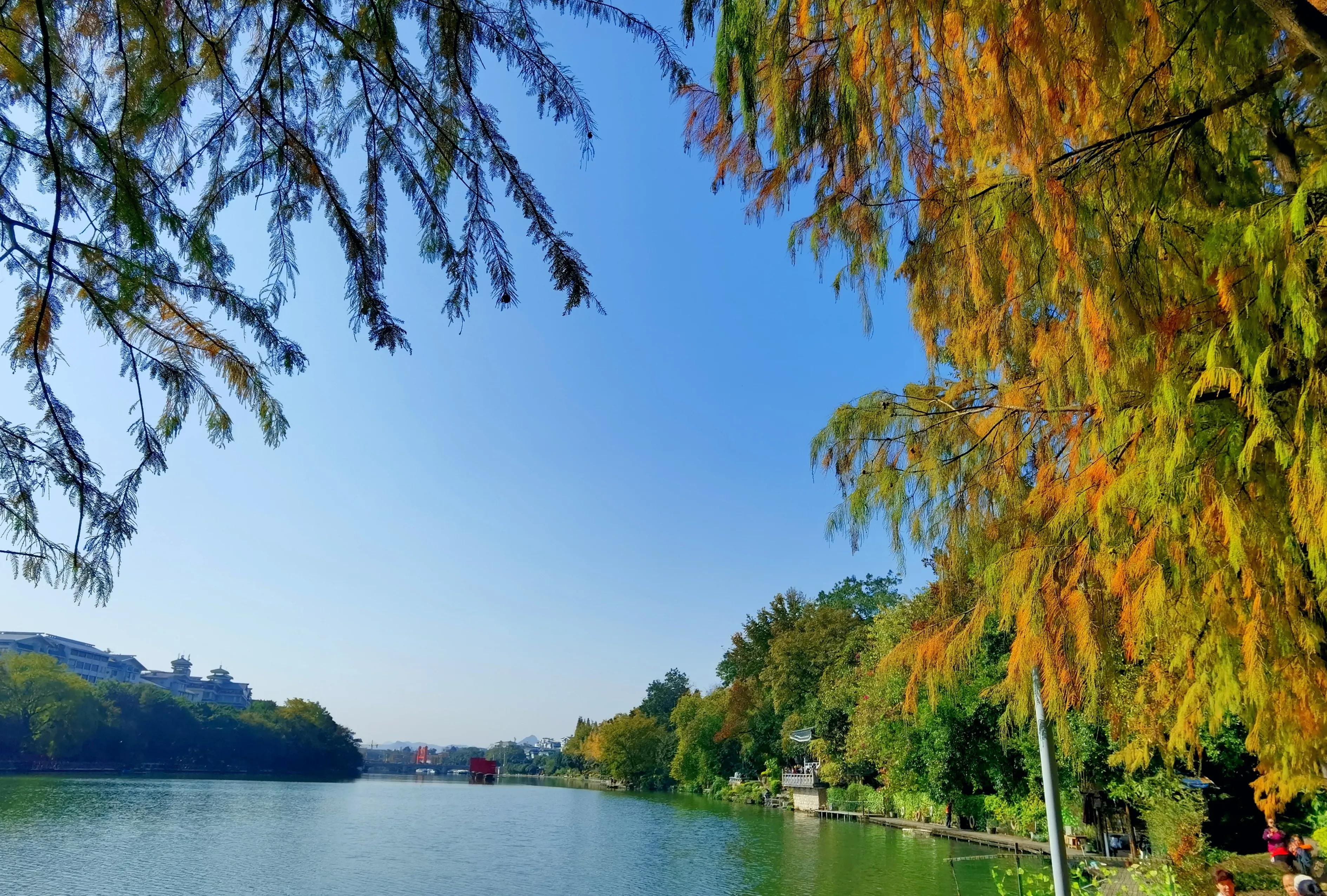 桂林的桂湖在哪里,桂林两江四湖之桂湖