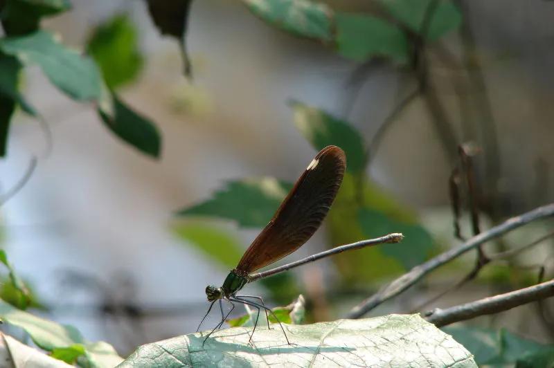 致敬头条号,致敬今日头条
