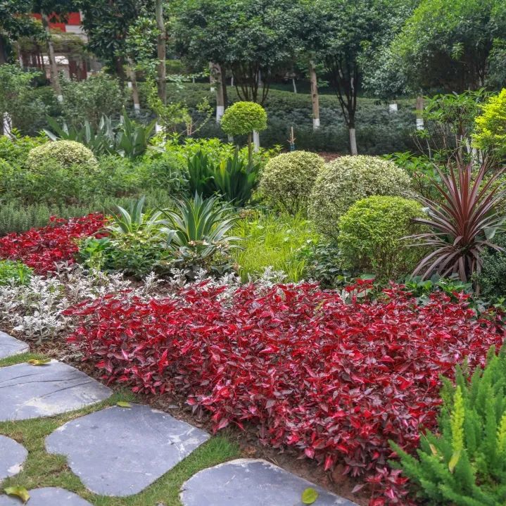 荷你有约周末去武隆逛荷花节可好,今夏荷你有约新余已开启赏荷模式