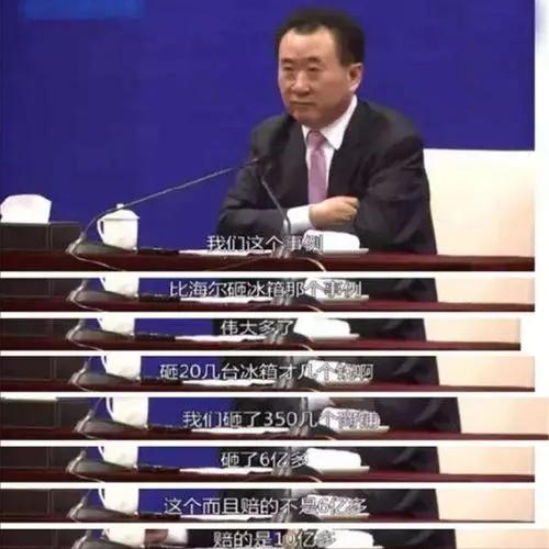 王健林和王思聪现状,王健林与王思聪现状