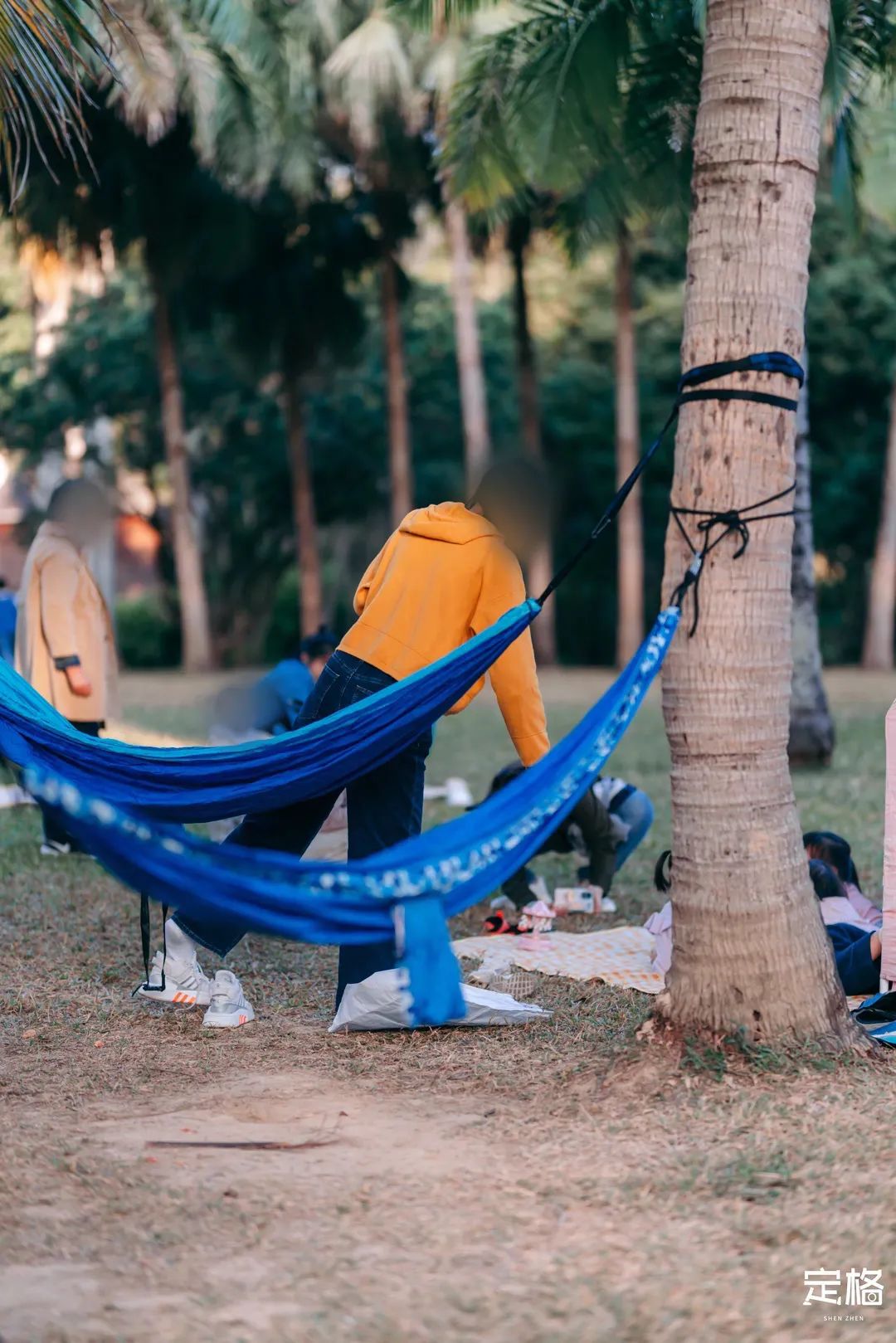 深圳免费露营的公园推荐,深圳22个露营公园