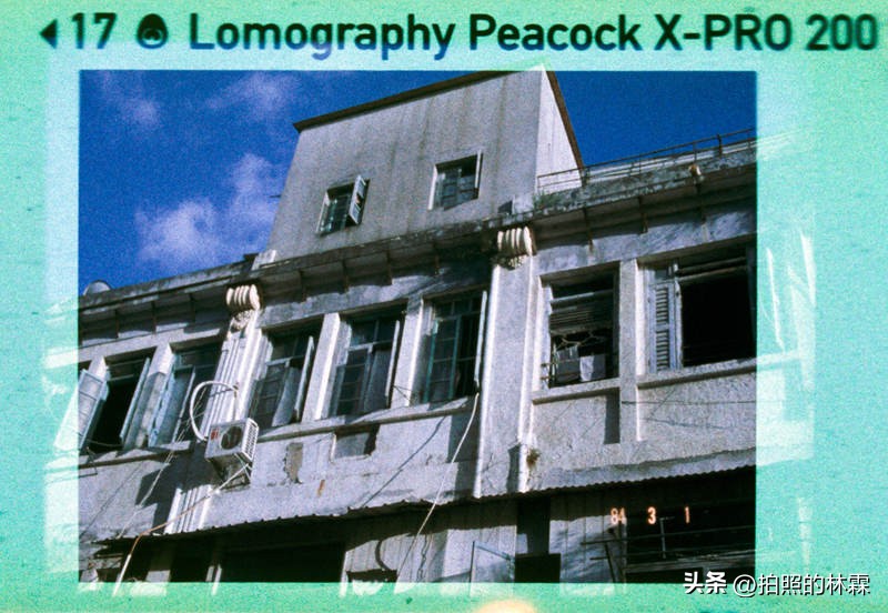 110胶卷/相机保姆级教程/相机选择/胶卷选择/冲扫店铺/实拍样片